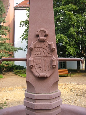 06